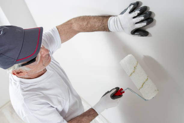 Reliable Bad Axe, MI Mold Removal Solutions