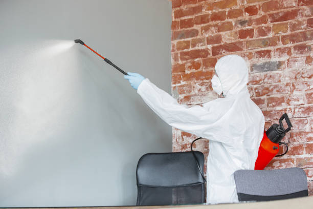 Best Mold Odor Removal Services  in Bad Axe, MI