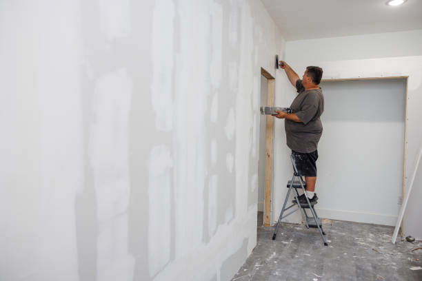 Best Attic Mold Removal  in Bad Axe, MI