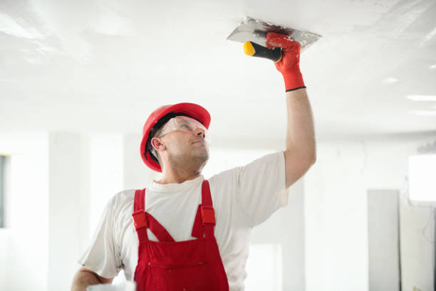 Best Comprehensive Air Testing for Mold Contaminants  in Bad Axe, MI