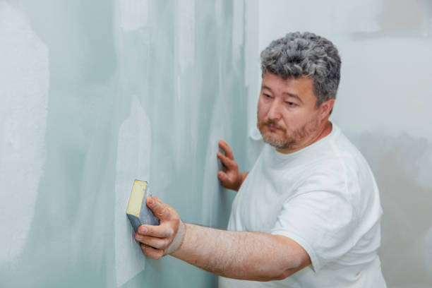 Best Black Mold Removal  in Bad Axe, MI
