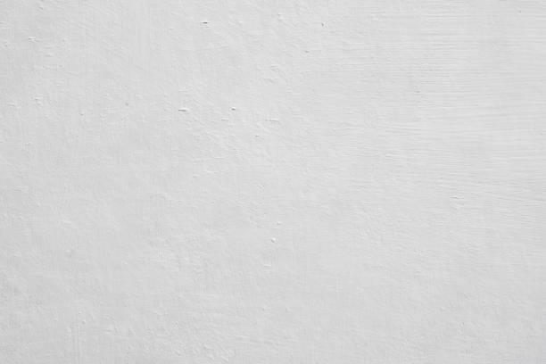 Best Black Mold Removal  in Bad Axe, MI