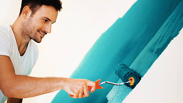 Best Basement Mold Removal  in Bad Axe, MI