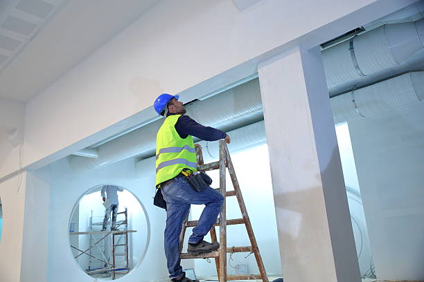 Best Residential Mold Inspection & Testing  in Bad Axe, MI